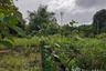 Land for sale in Nam Pua, Nan