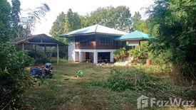 Land for sale in Mae Chua, Phrae