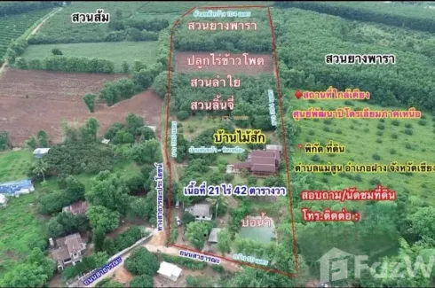 Land for sale in Mae Sun, Chiang Mai
