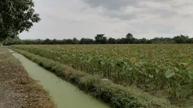 Land for sale in Horathep, Saraburi