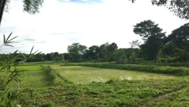Land for sale in Tha Pha, Lampang