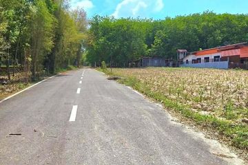 Land for sale in Map Kha, Rayong