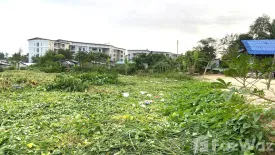 Land for sale in Rawai, Phuket
