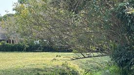 Land for sale in Huai Sai, Chiang Mai
