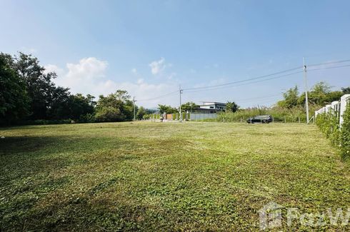 Land for sale in Huai Sai, Chiang Mai
