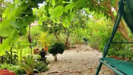 3 Bedroom House for sale in Promprieng Mountain View, Buak Khang, Chiang Mai