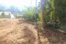 Land for sale in Tham Nam Phut, Phang Nga
