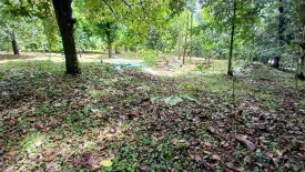 Land for sale in Tham Nam Phut, Phang Nga