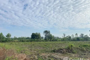 Land for sale in Ton Phueng, Sakon Nakhon