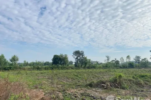 Land for sale in Ton Phueng, Sakon Nakhon