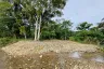 Land for sale in Phanom, Surat Thani