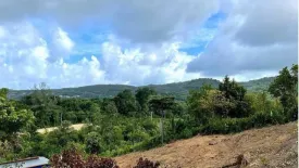 Land for sale in Choeng Thale, Phuket