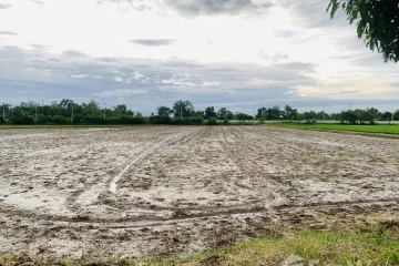 Land for sale in Nong Chang, Uthai Thani