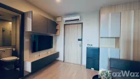 1 Bedroom Condo for rent in IDEO O2, Bang Na, Bangkok near BTS Bang Na