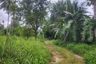 Land for sale in Ang Thong, Surat Thani