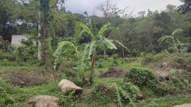 Land for sale in Chalong, Phuket
