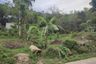 Land for sale in Chalong, Phuket