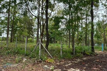 Land for sale in Mae Raem, Chiang Mai