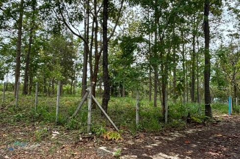 Land for sale in Mae Raem, Chiang Mai