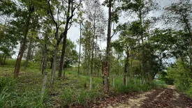 Land for sale in Mae Raem, Chiang Mai