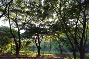 4 Bedroom House for sale in Phai Thon, Phrae