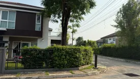 4 Bedroom House for rent in Rop Wiang, Chiang Rai