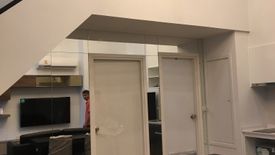 2 Bedroom Condo for rent in The Tree Sukhumvit 71 - Ekamai, Suan Luang, Bangkok near Airport Rail Link Ramkhamhaeng