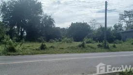 Land for sale in Thep Krasatti, Phuket