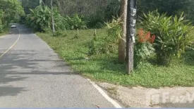 Land for sale in Thep Krasatti, Phuket