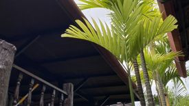 2 Bedroom Villa for rent in Phuket-Thaihouse, Thep Krasatti, Phuket