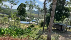 Land for sale in Choeng Thale, Phuket