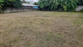 Land for sale in San Sai Luang, Chiang Mai