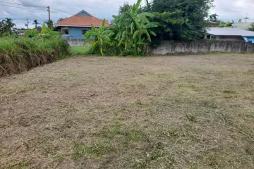 Land for sale in San Sai Luang, Chiang Mai