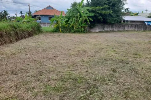 Land for sale in San Sai Luang, Chiang Mai