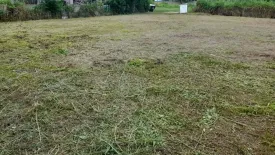 Land for sale in San Sai Luang, Chiang Mai