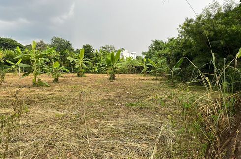 Land for sale in Rim Tai, Chiang Mai