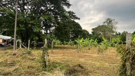 Land for sale in Rim Tai, Chiang Mai