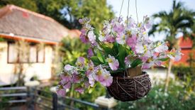 3 Bedroom House for rent in Maret, Surat Thani