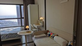 1 Bedroom Condo for rent in The Politan Aqua, Bang Kraso, Nonthaburi near MRT Phra Nang Klao Bridge