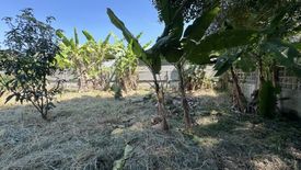 Land for sale in Nong Prue, Chonburi