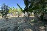 Land for sale in Nong Prue, Chonburi