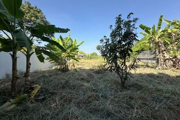 Land for sale in Nong Prue, Chonburi