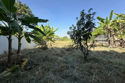 Land for sale in Nong Prue, Chonburi