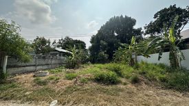 Land for sale in Nong Prue, Chonburi
