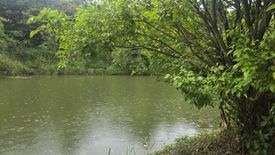 Land for sale in Choeng Doi, Chiang Mai