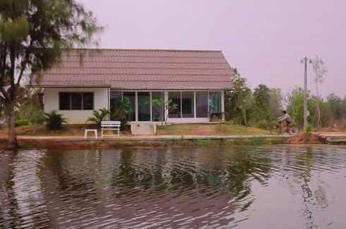 Land for sale in Wang Phong, Prachuap Khiri Khan