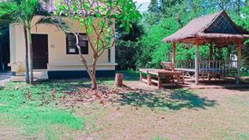 Land for sale in Wang Phong, Prachuap Khiri Khan