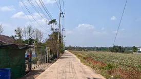 Land for sale in Wang Phong, Prachuap Khiri Khan