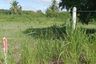 Land for sale in Thap Tai, Prachuap Khiri Khan