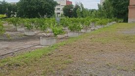 Land for sale in Muen Wai, Nakhon Ratchasima